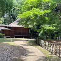 東京国立博物館/庭園