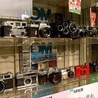 カメラ店の飾り窓