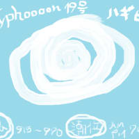 typhooooooooon19号