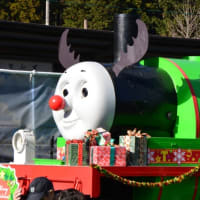 大井川鉄道 クリスマスバージョン！