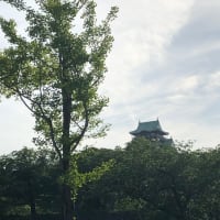 ちょっとだけ大阪城見えた