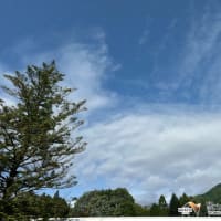 緑が濃くなって