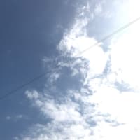 骨折＋α