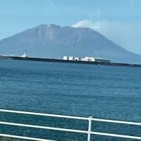 うーむ、手強い。