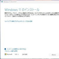 Windows 11 Dev チャンネルマシン が不調になったので、クリーンインストールを開始。(その2・完了）