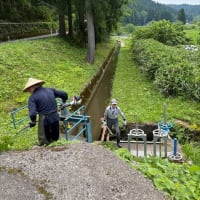 解禁前草刈りと清掃活動