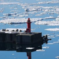 海明け　流氷の去り行く頃（３月下旬のオホーツク海　知床半島にて）