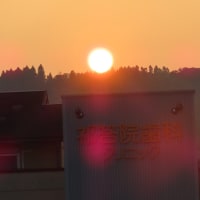朝の散歩（2025/6/30）・・・姶良市加治木町網掛川上流・龍門滝方面