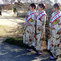 水戸の着物