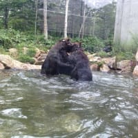 ヴィレッジ432乗馬クラブ