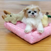 明るい気持ちでお空のハニーちゃんと繋がっているご様子に、ほっこりしました