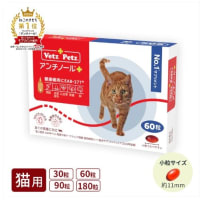 2025年5月18日（日曜日）銀天街にて「保護犬猫の譲渡会」開催します。