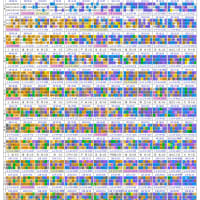 ２５０７０７：結果