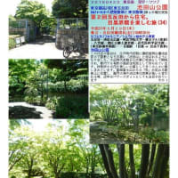 施設案内東京-527　池田山公園　