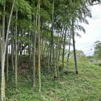 「げんきの郷」と吉川熊野神社へ
