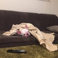 くつろぐおっさん
