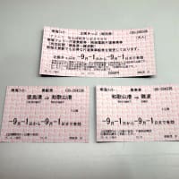 南海電車 フェリーの格安企画乗車船券 好きっぷ Makikyuのページ 南海電車 フェリーの格安企画乗車船券 好きっぷ Makikyuのページ