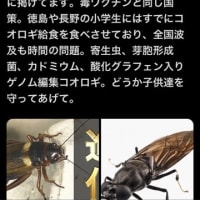 昆虫食とか…