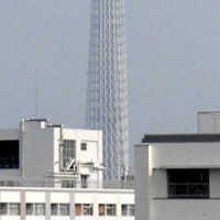 ２０２５／７／６の朝の東京スカイツリー