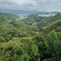 久し振りの墓参り