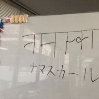 ひょっこり新社会人@教室