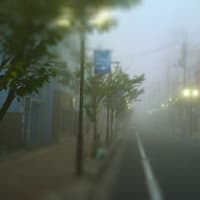 髭にたまる水