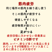 足がつる　原因と対策