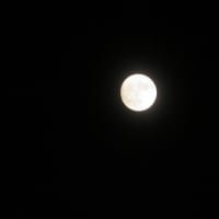 月