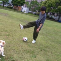 愛犬とサッカー