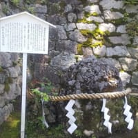 新緑のこの時期