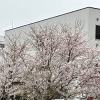 津田沼のモリシア　またね！