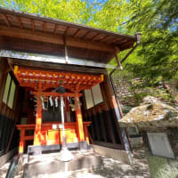 思いがけず・・・あっという間に日光ｗ