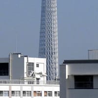 2025/6/19の朝の東京スカイツリー