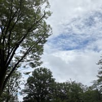 人は溢れると言葉にならない