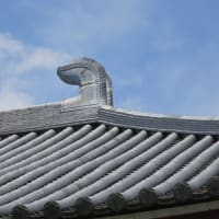 ぶら散歩～世田谷野毛公園・善養密寺