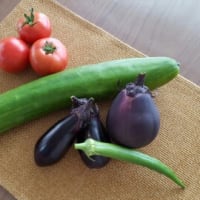 大きさ比較
