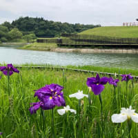 三重県の近場へActivateに行ってきた