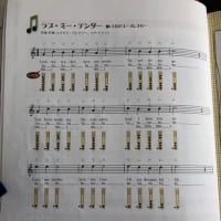 アルトリコーダーで吹いてみる めざせ ミュージシャン