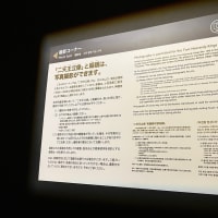 深沈厚重とは　人の心に灯をともす 5902より　写真はMさんのプレゼントですm(__)mありがとうございますm(__)m