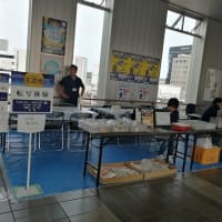 第12回美濃焼祭