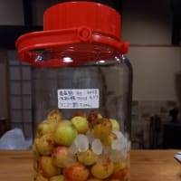 果実酒　2025