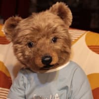 Hug me bear マロン色のヒグマくん　②