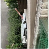 登れない ウーロンとリスくんの話