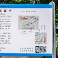 6月29日(日) 12日例会「一橋学園駅-小金井公園-境浄水場脇-三鷹駅」の下見-3-1