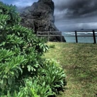動画　 電線上のアカショウビンと崖の上のイソヒヨドリ奄美大島笠利町