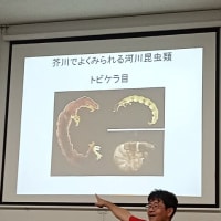 たかつき市民環境大学