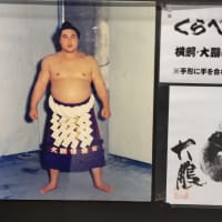昭和の大横綱・大鵬の資料館
