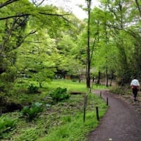 ◇GWに静岡から息子一家が帰省しました♪