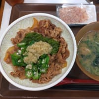 【すき家】生姜めかぶオクラ牛丼。