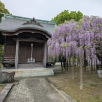 4月14〜20日練習